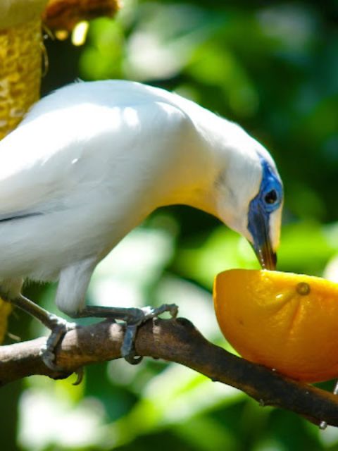 Decouverte de la flore et de la faune