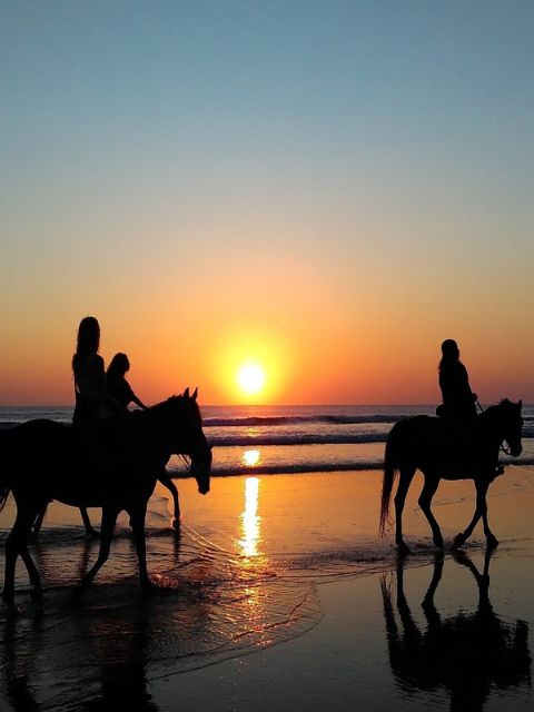 Equitation