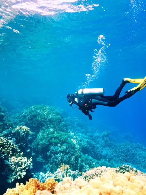 Plongee sous marine
