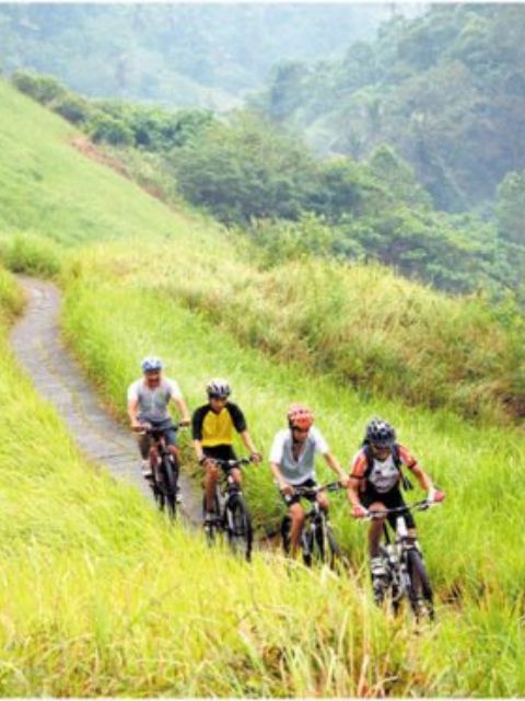 VTT
