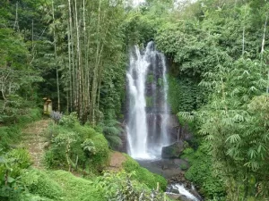 Hidden Waterfalls of Bali