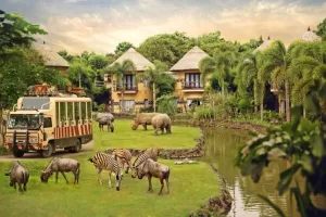 Bali