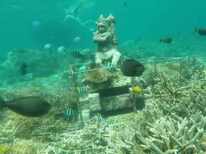 La Vie Marine de Bali