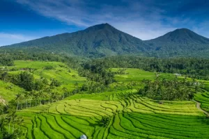 Bali for Nature Lovers