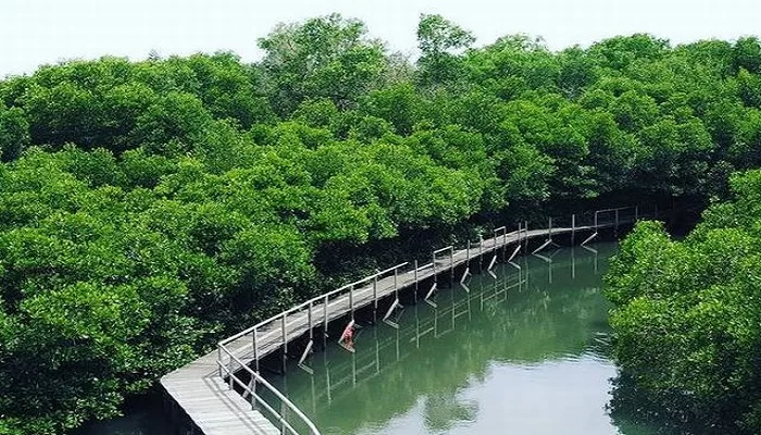 La beauté de l'île de Bali