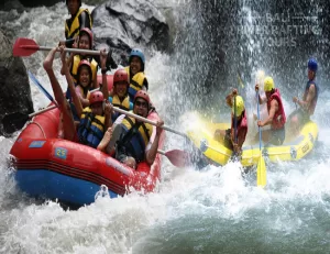 Faits Étonnants sur Bali